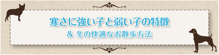 ペットサプリメントをお探しの方へ