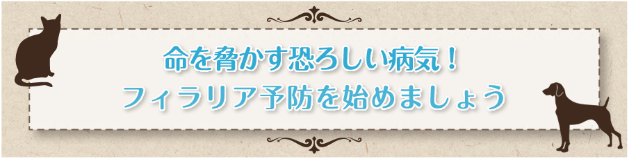 ペットサプリメントをお探しの方へ