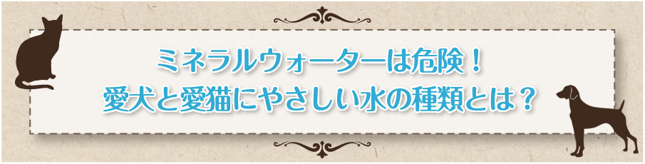 ペットサプリメントをお探しの方へ