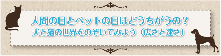ペットサプリメントをお探しの方へ