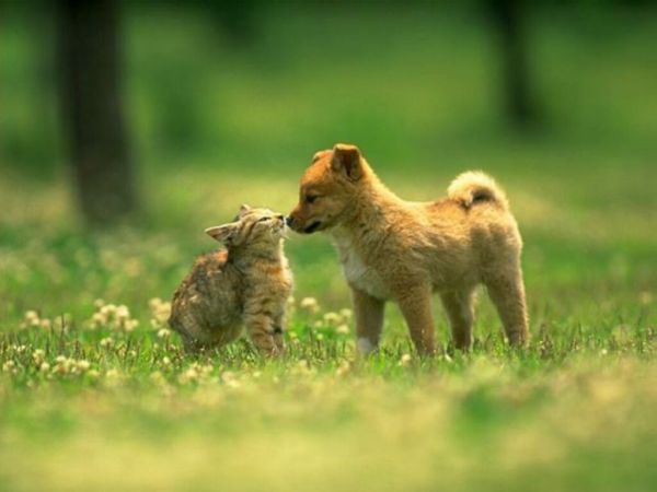 冬の食事は飼育環境でコントロールが必要