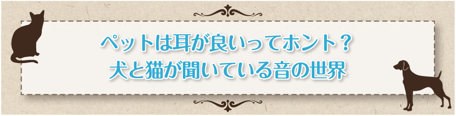 ペットサプリメントをお探しの方へ