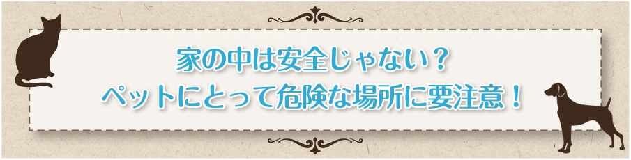 ペットサプリメントをお探しの方へ