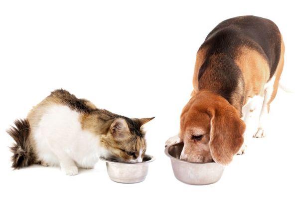犬サプリ・猫サプリをお探しの方へ