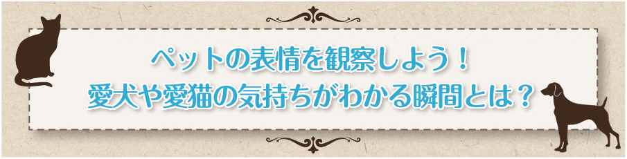 ペットサプリメントをお探しの方へ