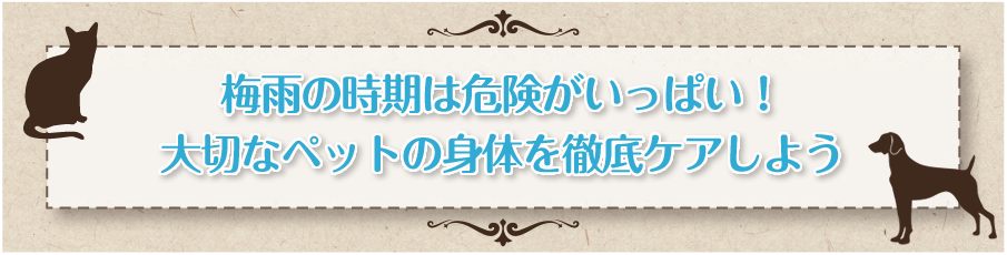 ペットサプリメントをお探しの方へ