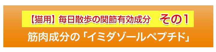毎日散歩の関節有効成分その１　筋肉成分のイミダゾールペプチド
