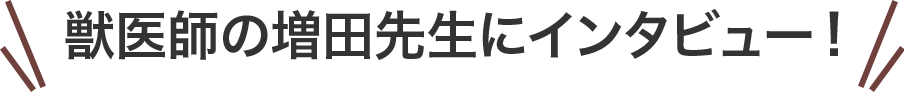 獣医師・アダムス先生 インタビュー