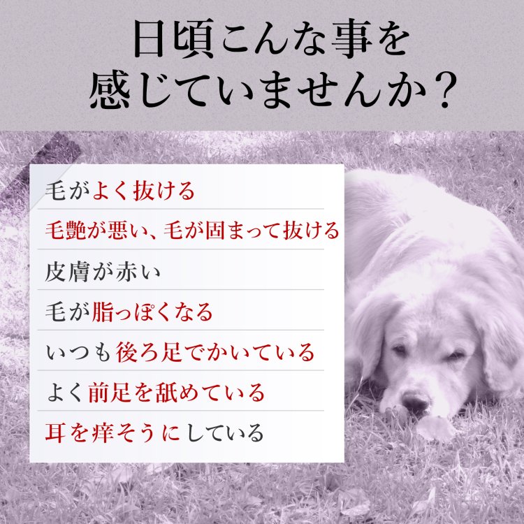 毎日美肌【公式ウィズペティ】犬用皮膚・毛艶サプリ｜ローヤルゼリー配合