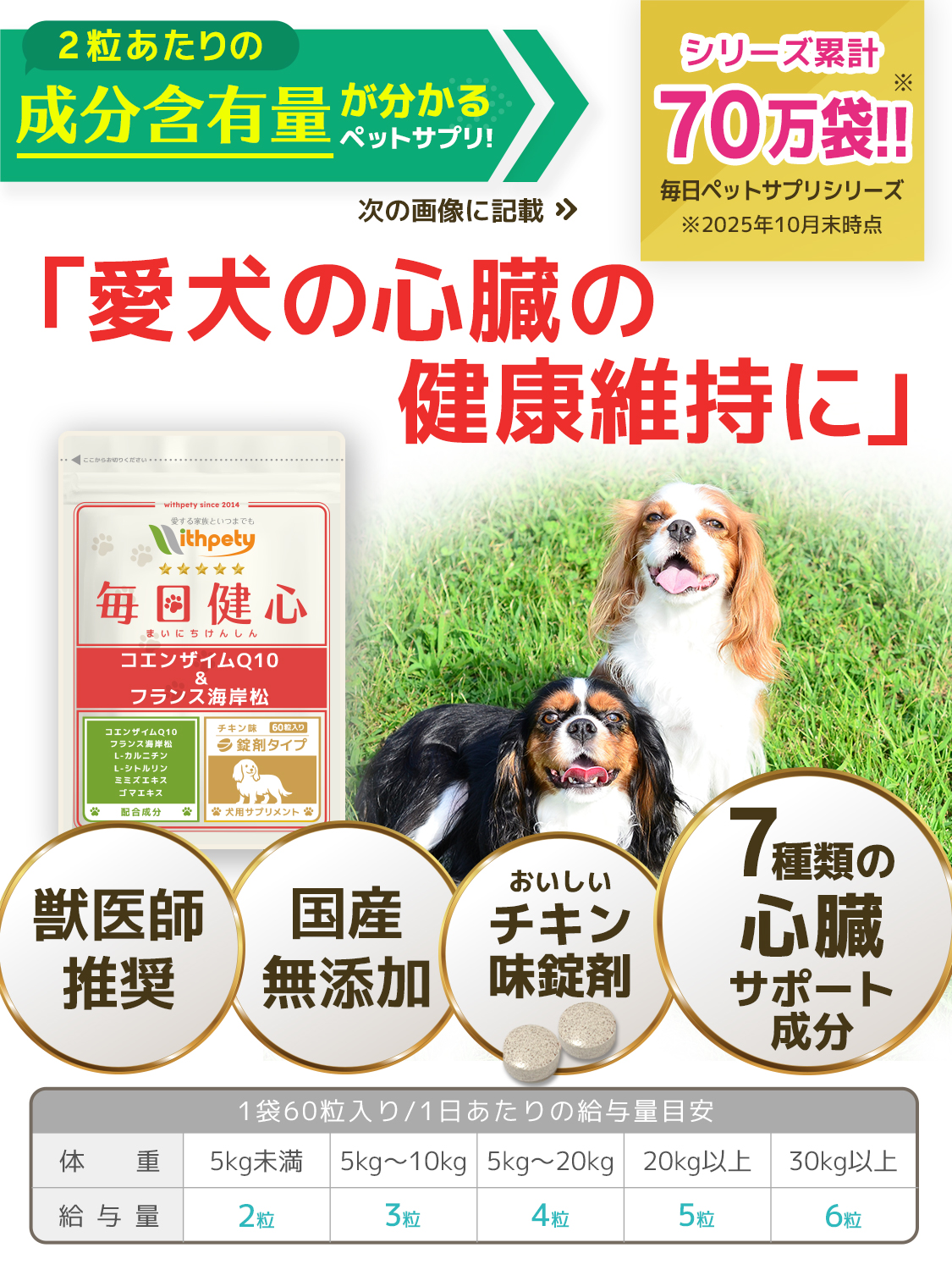 毎日健心【公式ウィズペティ】犬用心臓ケアサプリ｜コエンザイム配合
