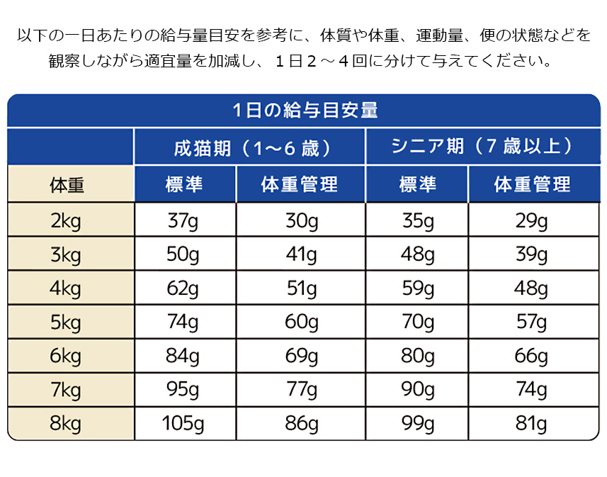 給与目安