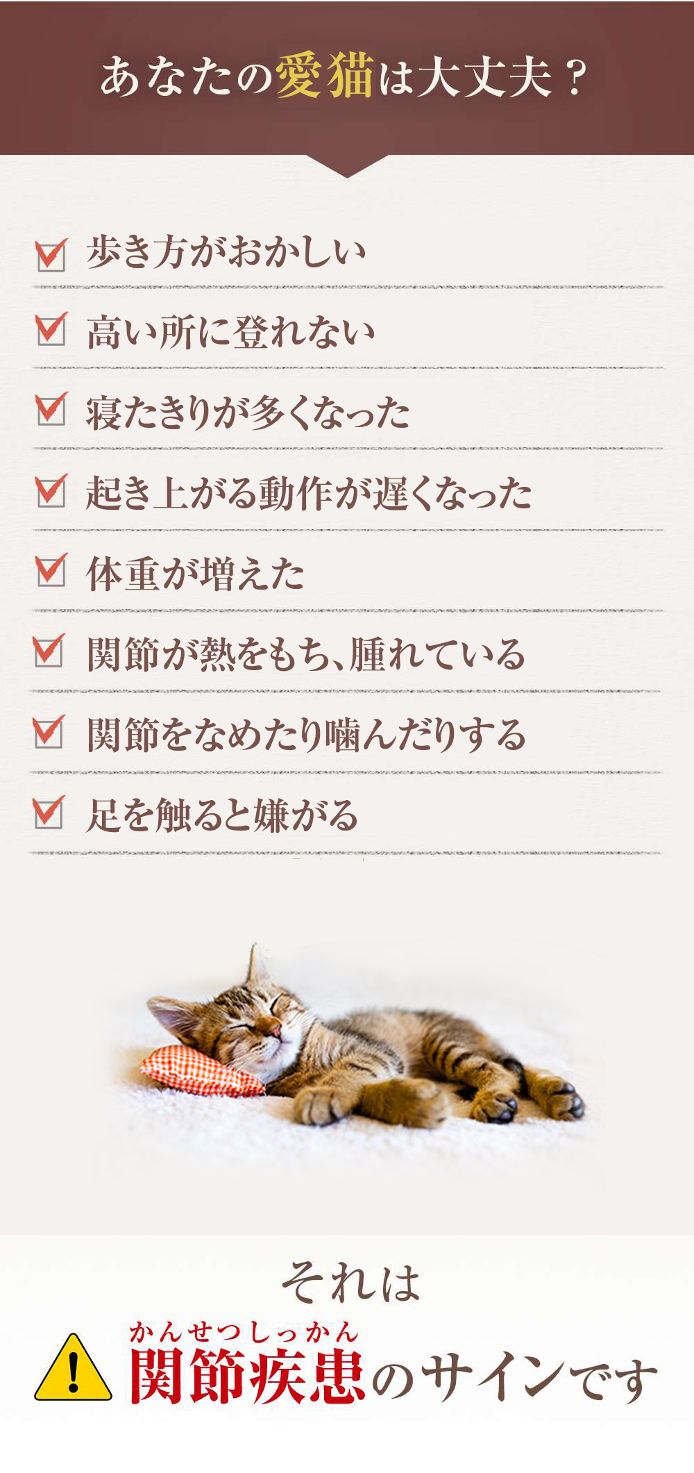 あなたの愛猫は大丈夫？