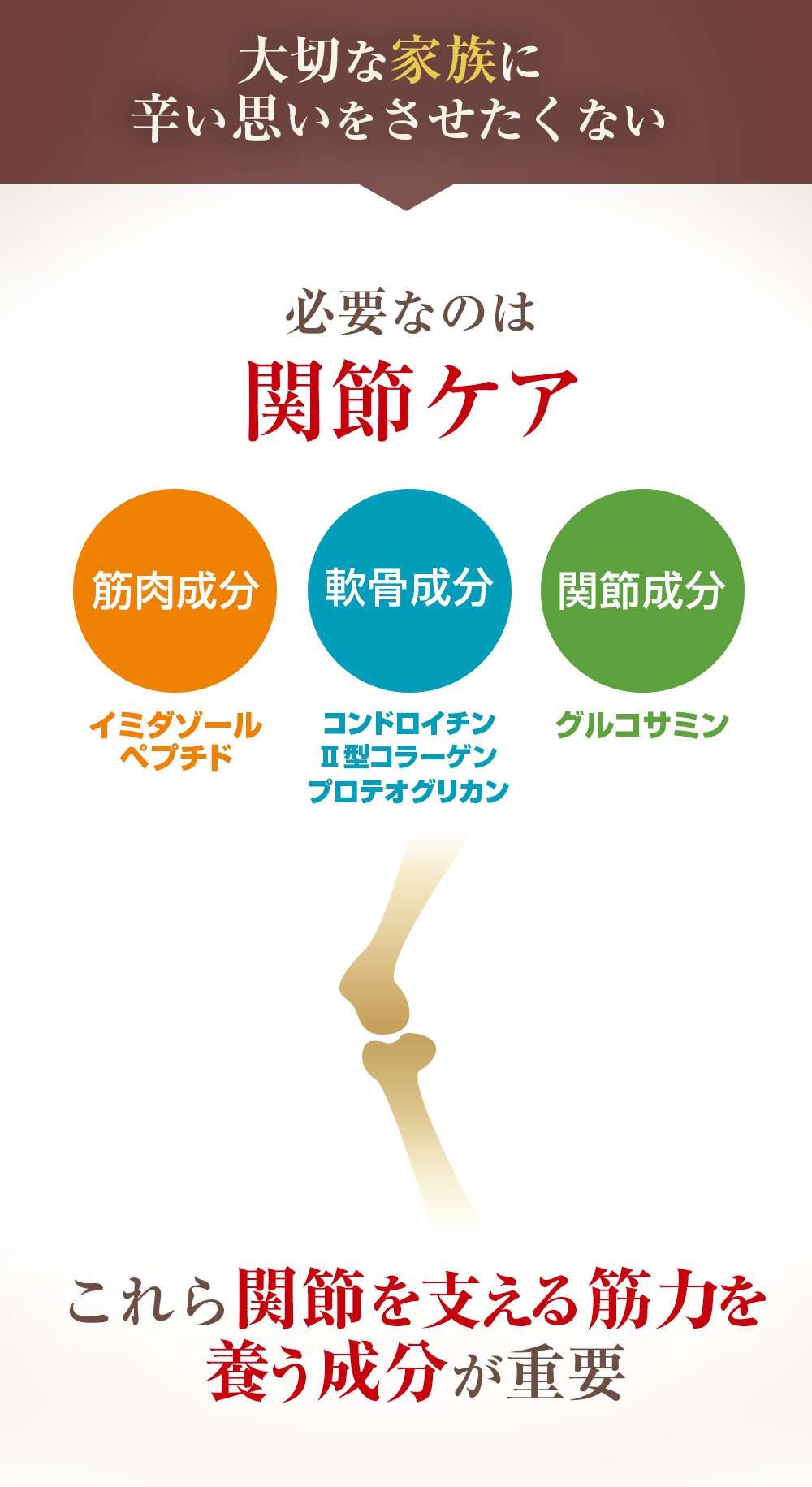 大切な家族に辛い思いをさせたくない
