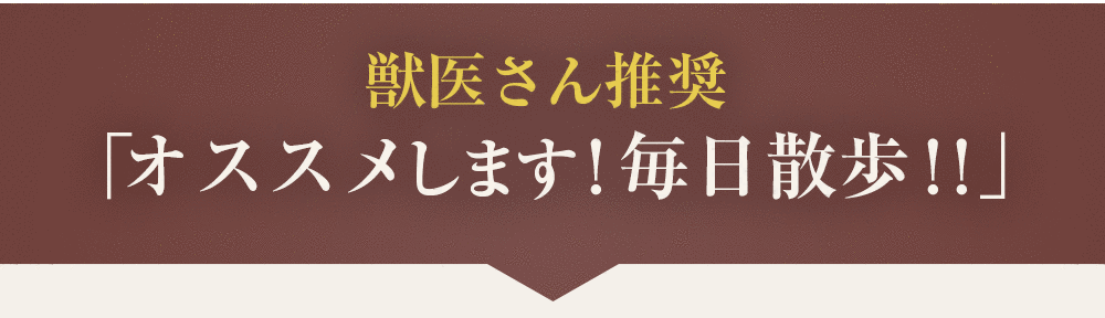 獣医さん推奨「オススメします！毎日散歩！！」