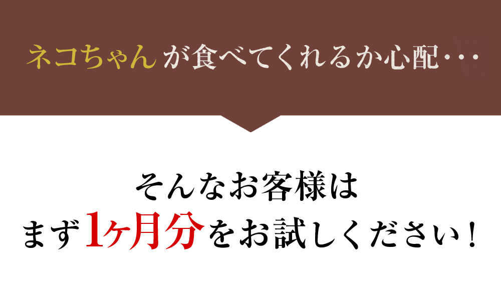 まず１ヶ月分をお試しください！