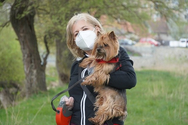 犬に増えるマスクのトラブルとは？