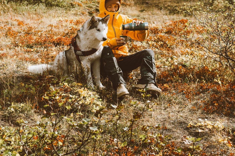 犬と一緒に楽しむ旅行【温泉・ホテル3選～九州編】ペットツーリズム