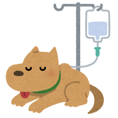 犬の蛋白漏出性腸症って何？厄介な消化器疾患を解説！