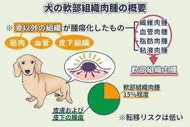 犬の軟部組織肉腫