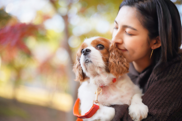 ペットの健康は自宅でチェック！愛犬・愛猫の健康管理