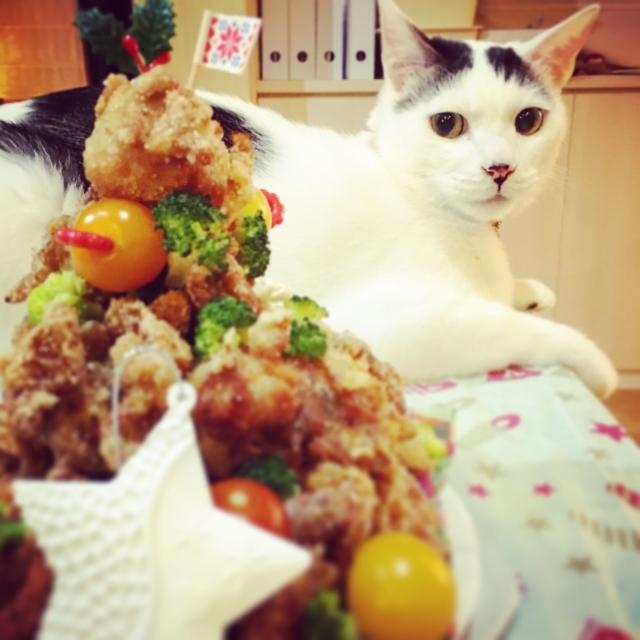 年末年始のごちそうに注意!ペットの誤食と食べすぎ対策