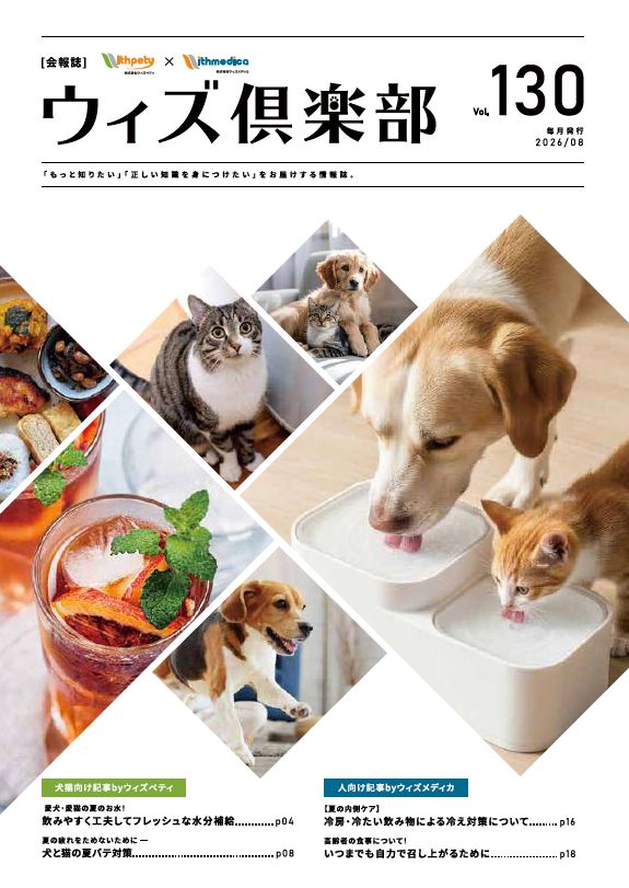 愛犬・愛猫の夏のお水!飲みやすく工夫してフレッシュな水分補給